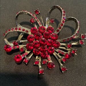 Source Unknown Radiant Red Gem Brooch